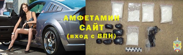 шишки Осинники