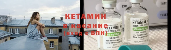 шишки Осинники