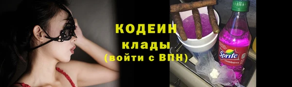 шишки Осинники