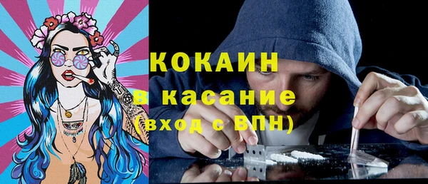 шишки Осинники