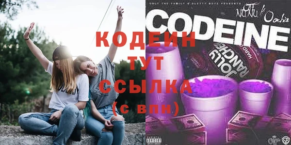 шишки Осинники