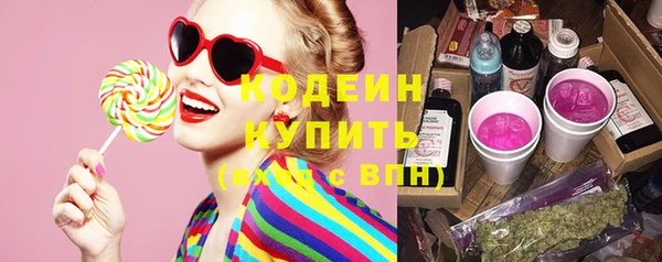 шишки Осинники