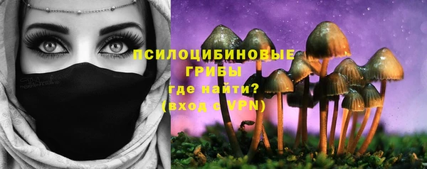 шишки Осинники