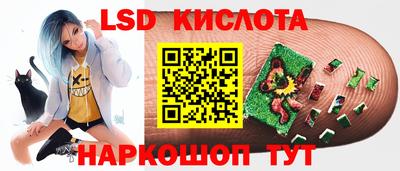 стаф Абакан