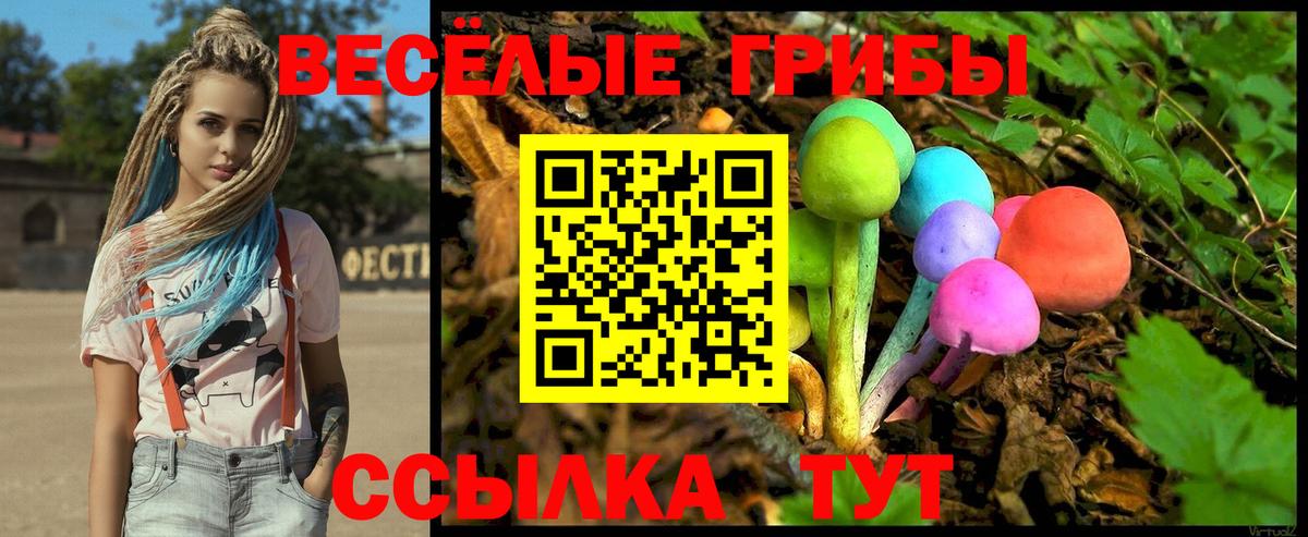 Обнинск  Псилоцибиновые грибы прущие грибы  Вход с VPN 