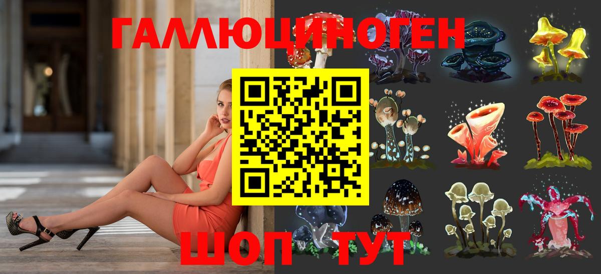 Галлюциногенные грибы Psilocybine cubensis  Обнинск 